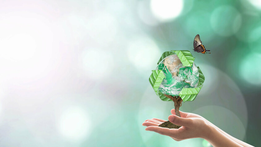 Geschäftsethik und Verhaltenskodex - Nachhaltigkeit und Umweltschutz Hände halten einen Baum, dessen Äste den Erdglobus darstellen, vor einem leuchtenden Hintergrund. Über dem Baum ist ein Recycling-Symbol zu sehen, und ein Schmetterling fliegt auf ihn zu, was eine harmonische Verbindung von Natur und Nachhaltigkeit symbolisiert. In der Geschäftsethik von weba Werkzeugbau symbolisiert dieses Bild die Nachhaltigkeits- und Umweltschutzinitiative des Unternehmens.